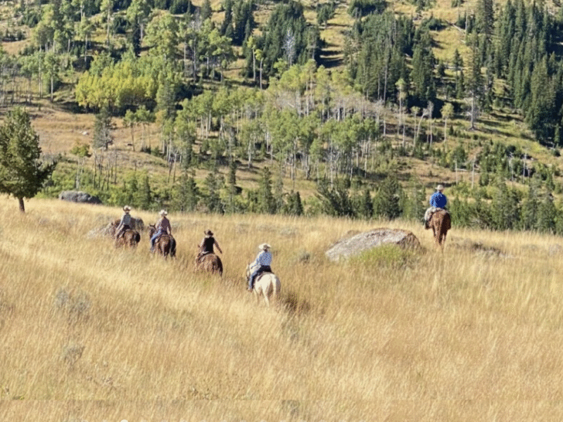 The Hideout Lodge & Guest Ranch – Shell, WY